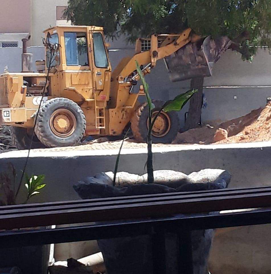 WhatsApp Image 2024-02-24 at 14.10.51